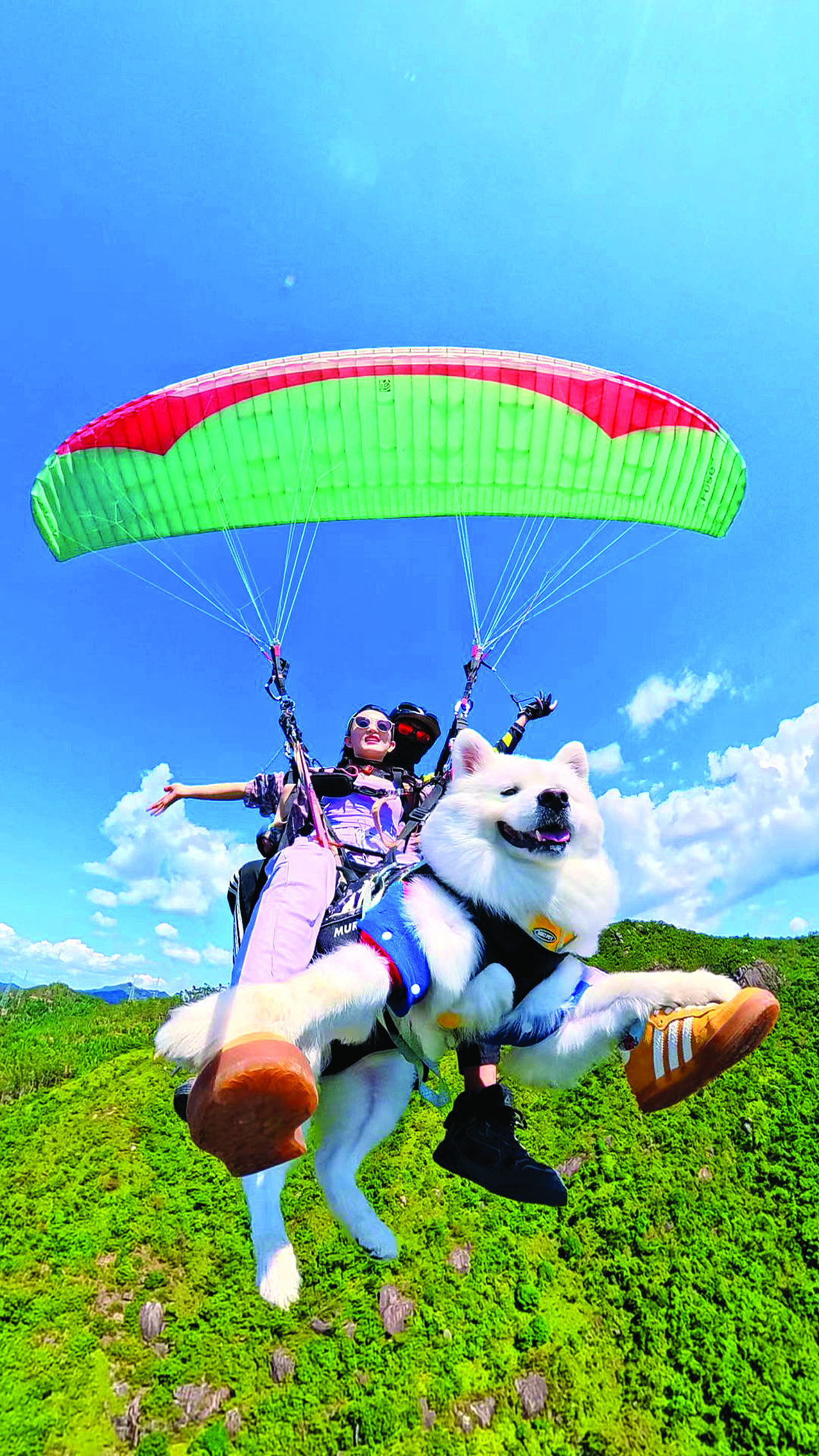 唐伟钟情巽寮湾！长弘户外“飞”出海洋文旅新体验